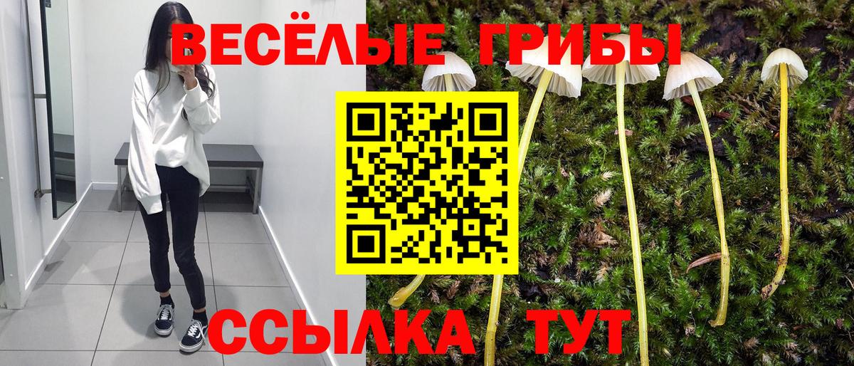 Псилоцибиновые грибы MAGIC MUSHROOMS Ишим