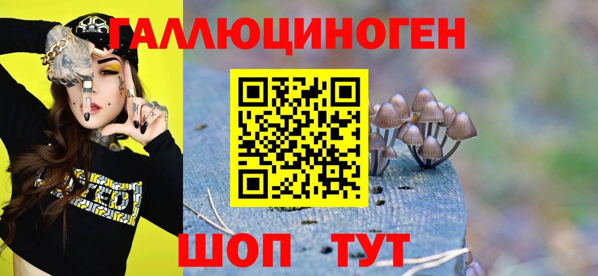 Ишим  Псилоцибиновые грибы прущие грибы  Вход с VPN 